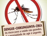 Combate ao mosquito Aedes aegypti é tema de palestra na Câmara Municipal