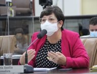 Maria Amélia pede reforma e revitalização de espaço de lazer no Jardim Primavera