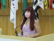 Sônia solicita à Prefeitura arborização na zona central da cidade