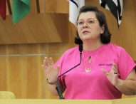 Maria Amélia pede serviço de entrega de documentos entre secretarias da Prefeitura