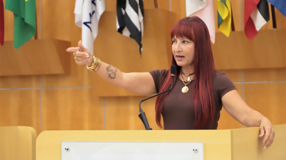 Sônia questiona prefeito sobre fiscalização de câmeras de segurança em pet shops