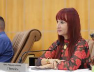 Sônia questiona Prefeitura sobre fiscalização do uso indiscriminado de linhas chilenas e de cerol em Jacareí