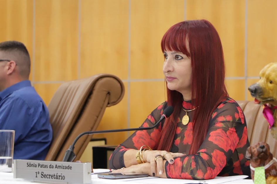 Sônia questiona Prefeitura sobre fiscalização do uso indiscriminado de linhas chilenas e de cerol em Jacareí