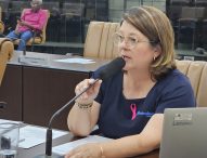 Maria Amélia questiona prefeito sobre demandas de Jacareí na audiência do orçamento estadual de 2024