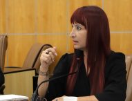 Sônia questiona prefeito sobre ações de prevenção do atropelamento de capivaras na Terceira Ponte