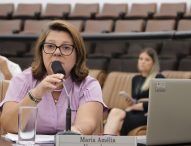 Maria Amélia propõe intensificação no combate à dengue em Jacareí