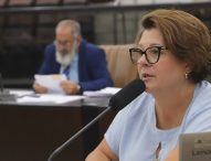 Maria Amélia pede Unidade Judiciária de Violência Doméstica e Familiar Contra a Mulher