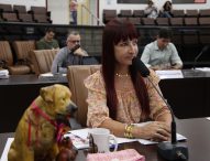 Sônia questiona prefeito sobre funcionamento do Abrigo Transitório de Animais