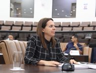 Juliana da Fênix pede troca de poste de madeira à EDP no Rio Comprido