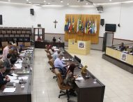 Câmara Municipal aprova criação da Feira Literária de Jacareí (FLIJ)